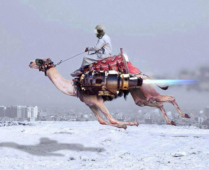 turbo camel